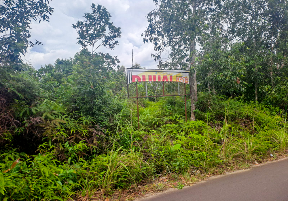 TANAH DI KAB. BANGKA BARAT - NPL100-4 - foto 2